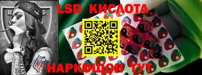 стаф Донской