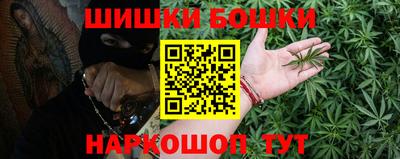 стаф Донской