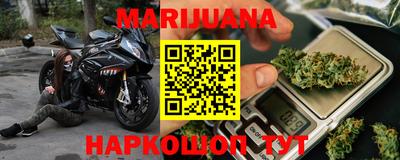 стаф Донской