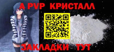 стаф Донской