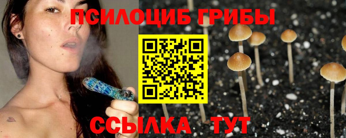 Мурманск  Галлюциногенные грибы мицелий  Вход с VPN  Галлюциногенные грибы GOLDEN TEACHER 